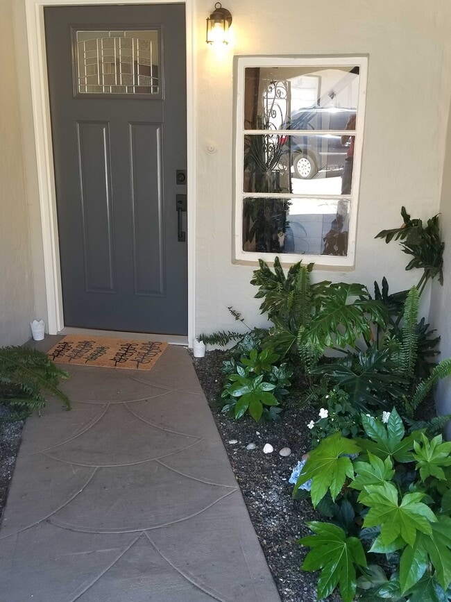 Photo - 19 Venus St House