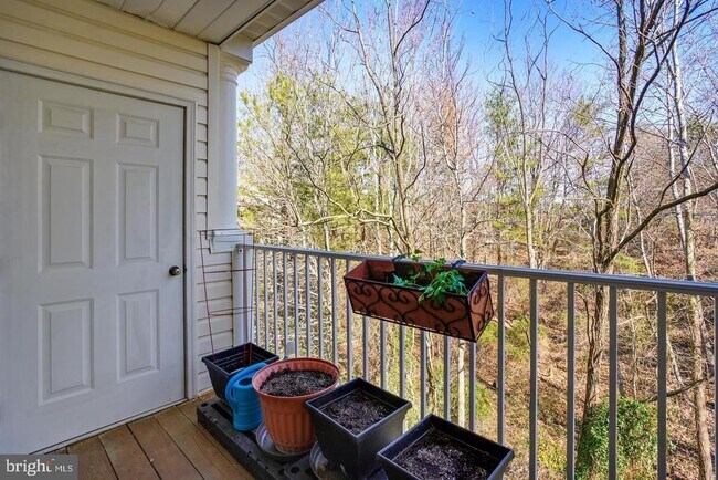 Building Photo - 2410 Chestnut Terrace Ct