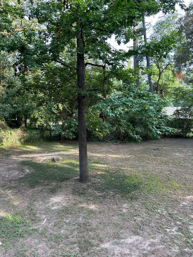Building Photo - 3/2/2 LISD Large Fenced yard