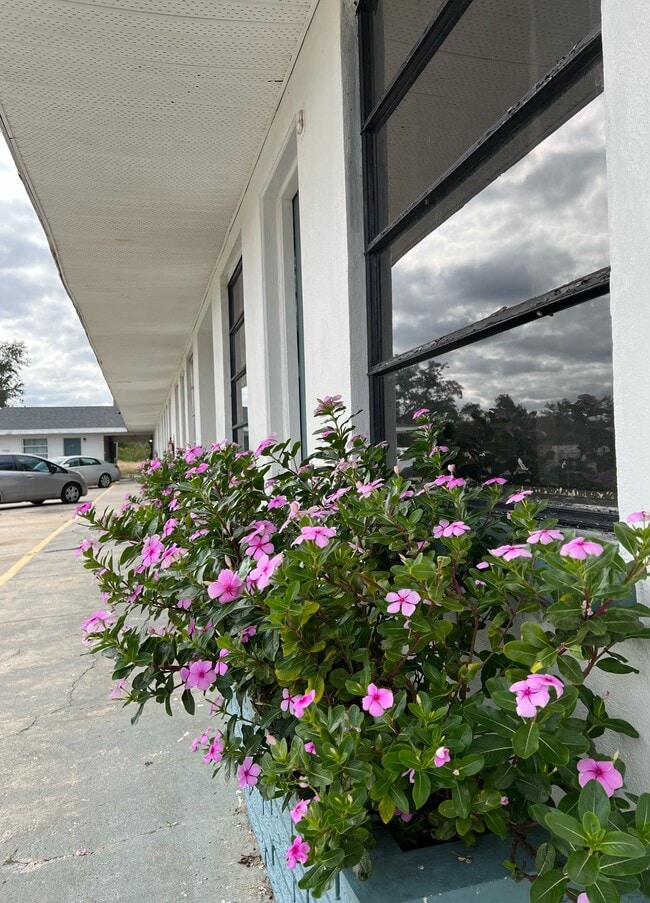 Building Photo - 6480 Miami Dr