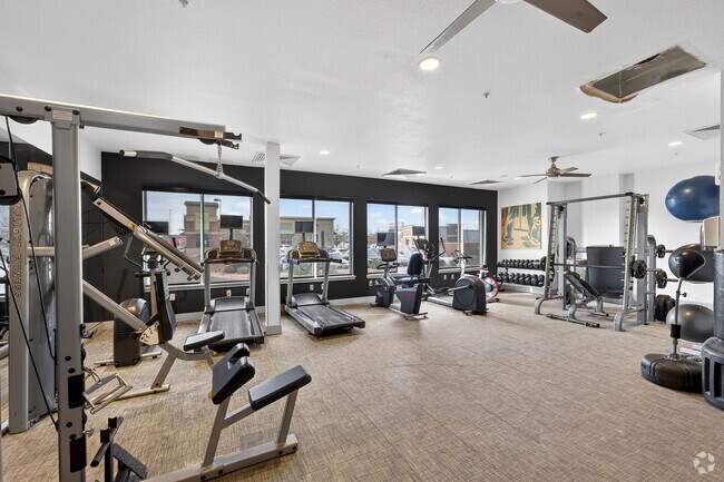 Gimnasia - Park Hill Station