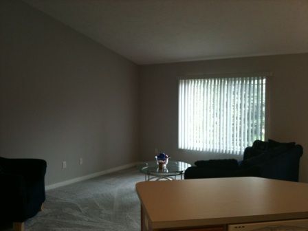 Foto del edificio - 2929 Pebblestone Dr