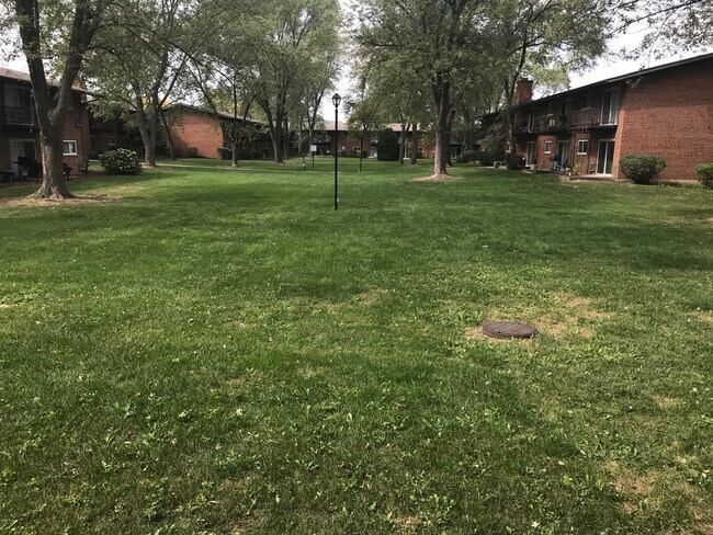 Courtyard - View from LR - 1480 Busse Rd