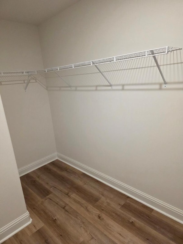 Building Photo - 10504 Glade Cv