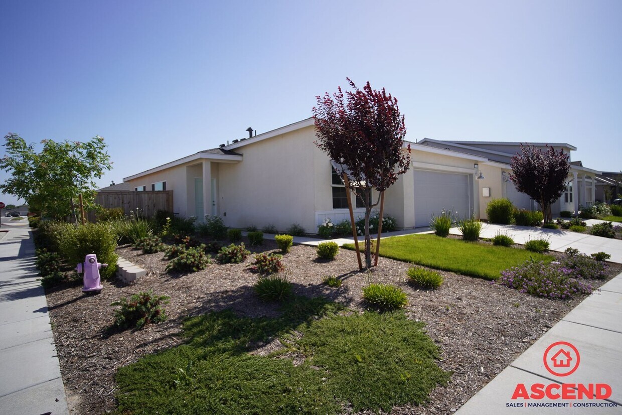 Primary Photo - Charming Home in Gossamer Grove