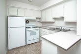 Located in Royal Oak, MI, this single-floor unit offers a well-organized layout with distinct living, kitchen, bedroom, and bathroom areas. The living room is a standout space, featuring large windows with vertical blinds that flood the room with natural light and offer views of the surrounding greenery. A ceiling fan adds both function and character, while plush wall-to-wall carpeting creates a warm, comfortable atmosphere throughout the main living and sleeping areas. The kitchen is efficiently designed with white cabinetry providing ample storage, a gas range, a stainless steel sink, and tile flooring that is easy to maintain. Counter space runs along two walls, making meal preparation straightforward. The bedrooms are generously sized, each carpeted and bright, with one featuring a classic wooden door and the other benefiting from natural light through vertical-blind windows. The bathroom is a notable feature, showcasing retro mint-green square tiles with black accent trim, a full soaking tub, a window for ventilation, and chrome grab bars — a charming nod to mid-century design. The overall layout, as seen in the dollhouse view, is compact yet thoughtfully arranged, making efficient use of the available space throughout.