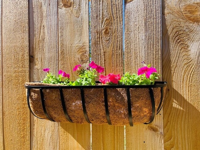 Foto del edificio - 706 Cirrus Ln