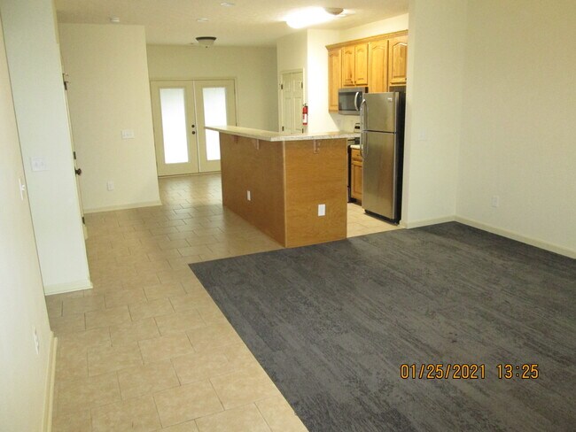 Entry/Living Room - 1142 District Ct
