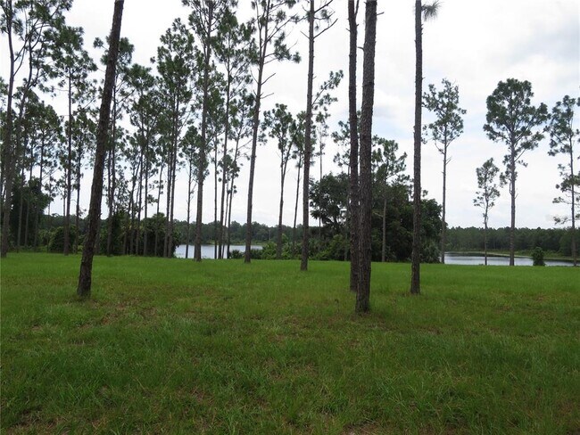 Foto del edificio - 36426 Tanner Ln