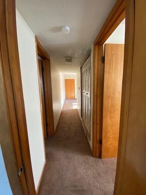 Foto del edificio - 1132 West 41st Terrace, Unit 3