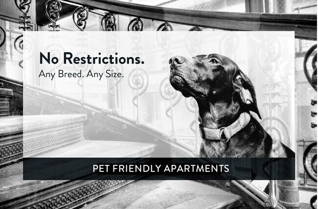 apartments no breed restrictions near me