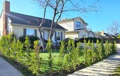 Foto principal - Gorgeous, 3 Bedrooms, 2 Baths House in Fan...
