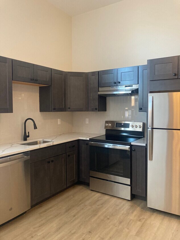 Kitchen (Dishwasher, Ice Maker, State of the Art Stove/Oven - 267 Mill St
