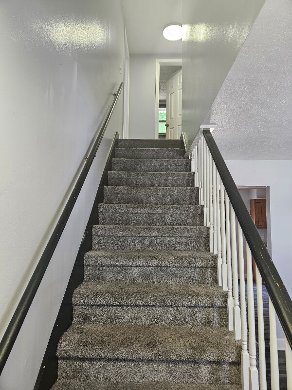 Foto del edificio - 109 Arthur Ct