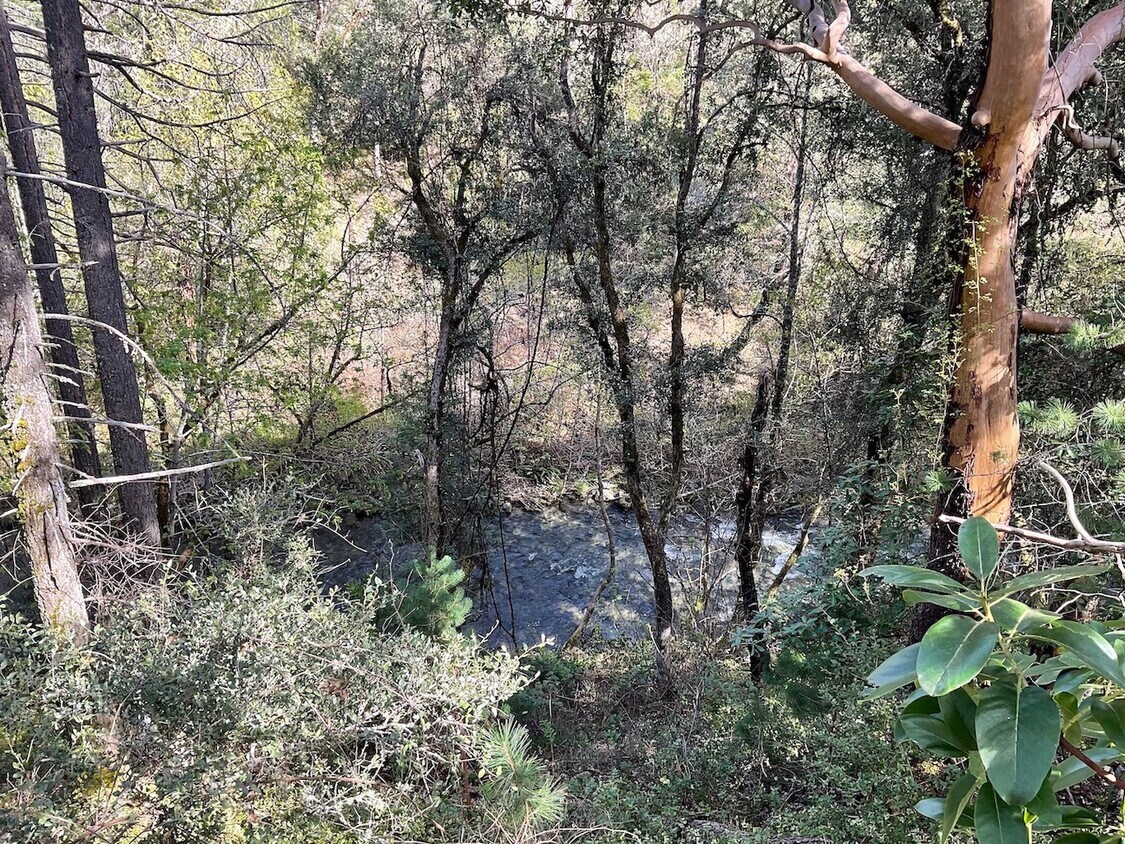 Foto del edificio - 439 Canyon Oak Dr