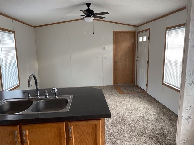 Building Photo - 7 Skyridge Ln