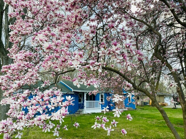 Foto del edificio - 14415 Newburgh Rd