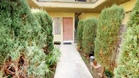 This ground-floor unit is situated within a multi-story residential building constructed with yellow stucco exteriors accented by brick pillar details and wood fencing elements. The unit's entrance, numbered 4, is accessed via a dedicated concrete walkway that runs along the building's interior courtyard-facing side. A distinctive feature of this entry approach is the dense row of tall, columnar evergreen shrubs — primarily cypress and juniper varieties — that line both sides of the pathway, creating a natural privacy screen from neighboring units and the shared courtyard. Potted plants and small garden beds further enhance the greenery along the entry corridor. The salmon-toned front door is framed by a window to its left, allowing natural light into the front of the unit. A staircase leading to the upper floor is visible nearby, though this unit remains entirely on a single level. The building's upper story features balconies with red metal railings that overlook the shared outdoor space below. The overall exterior ambiance is established by a combination of mature landscaping and practical architectural details, providing a degree of privacy and a garden-like setting at the threshold of the unit.