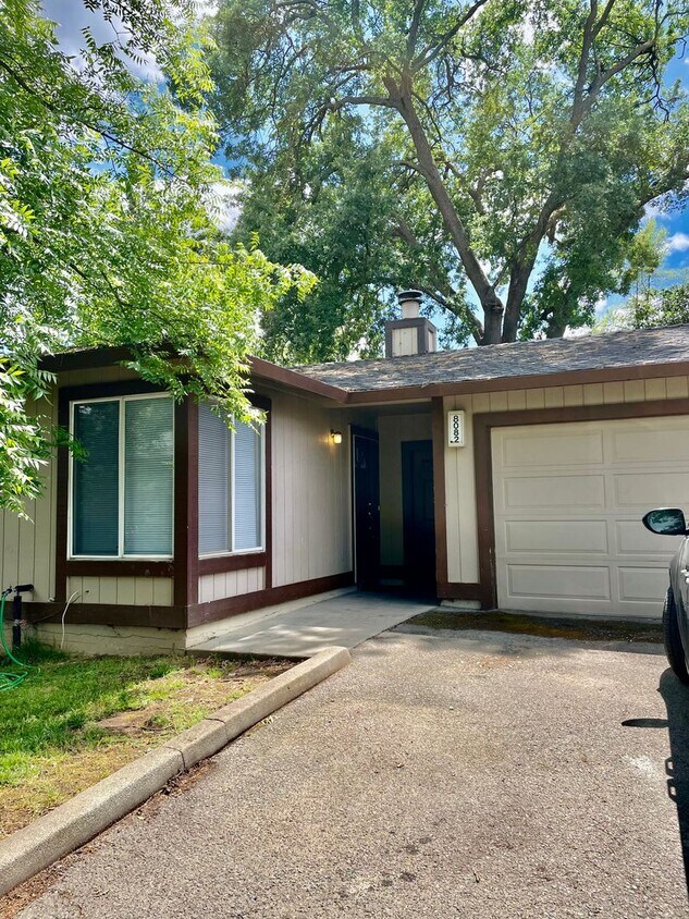 Primary Photo - TREECREST-3PLEX