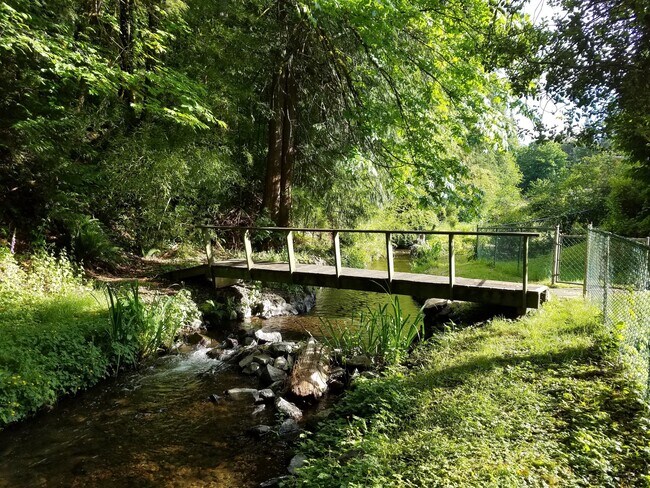 Creek behind the cottages - 2308 Northlake Way NW