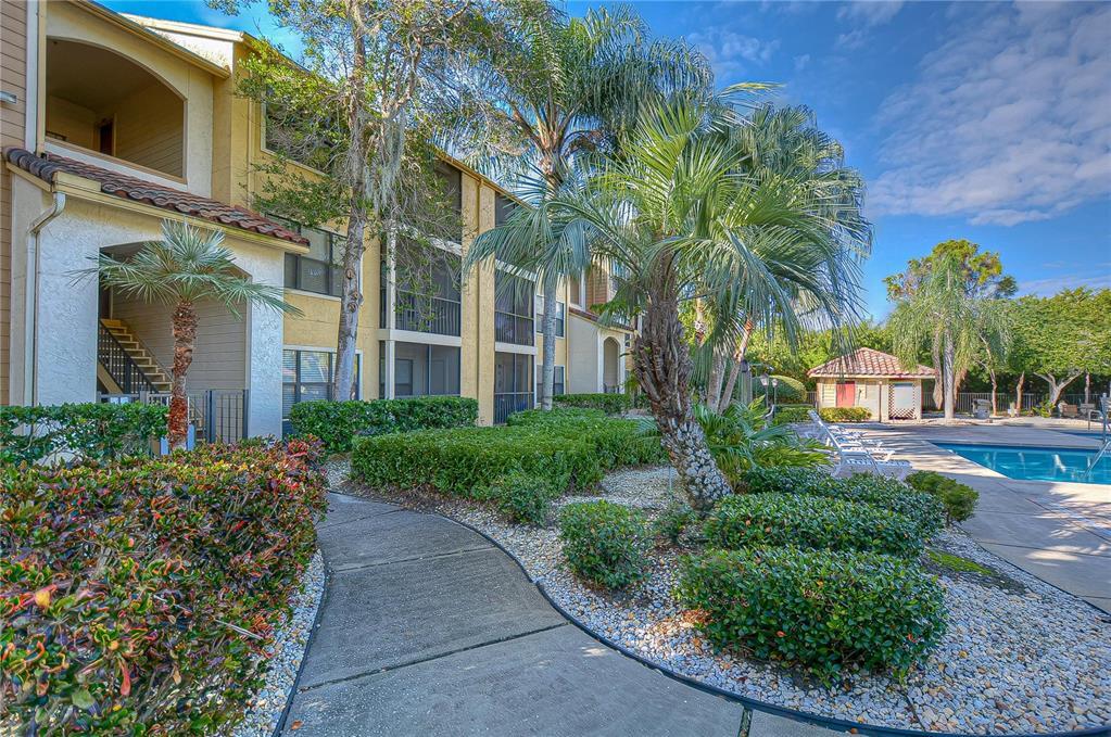 11901 4th St N Unit 4206, Saint Petersburg, FL 33716 Condo for Rent