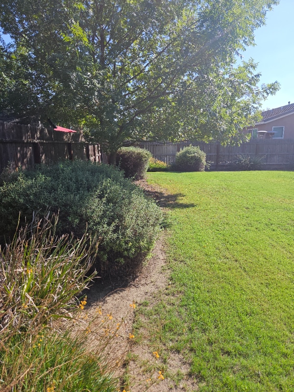 Foto del edificio - 2908 S Oakhurst Ct