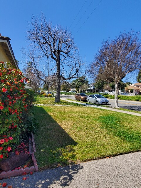 2 Bedroom on Chandler Bike Path - 2506 W Chandler Blvd
