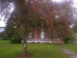 Primary Photo - 54 Virginia St