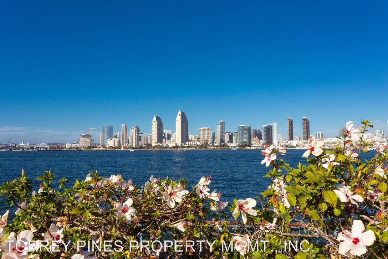 Foto principal - 543 F Ave