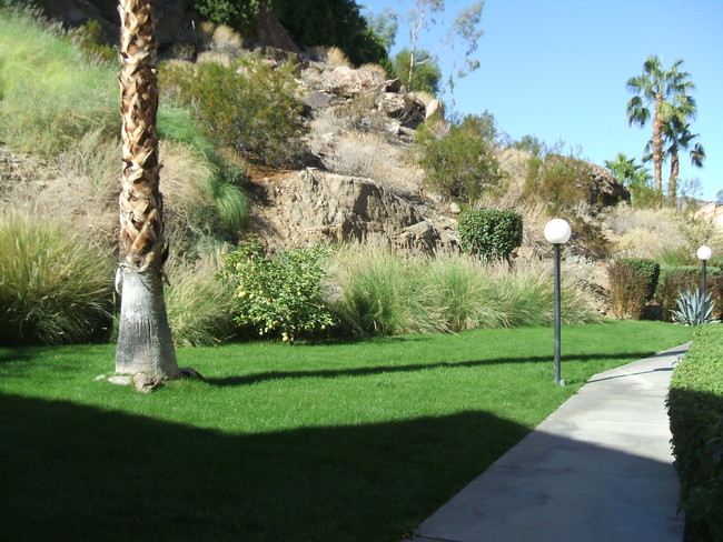 Building Photo - 2201 S Palm Canyon Dr