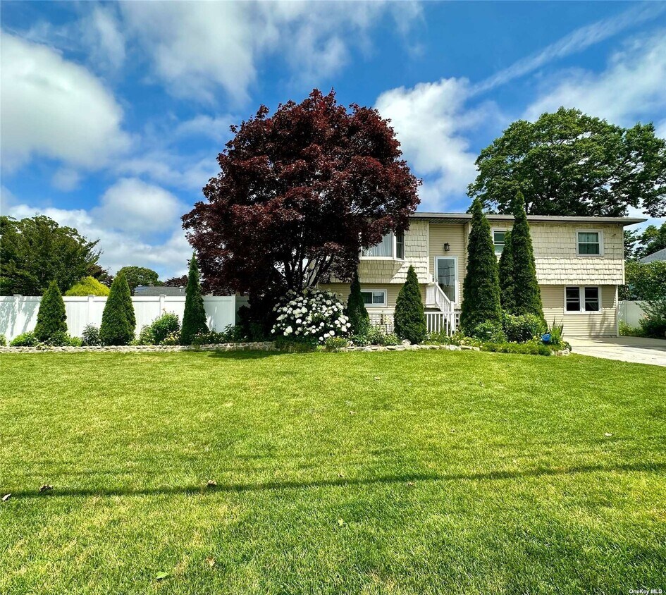 Foto principal - 648 Molloy St