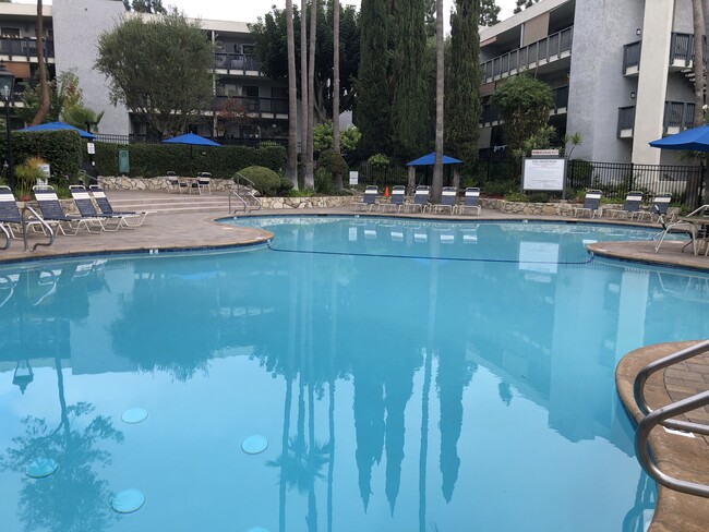 Pool - 3603 W Hidden Ln