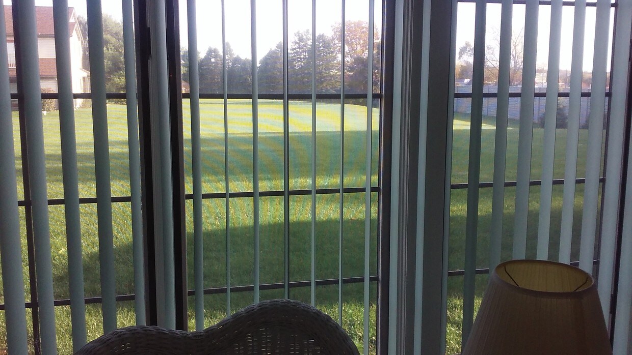 Back sunroom view - 93 Black Oak Dr