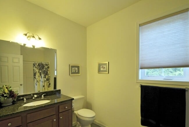 Interior Photo - Locust View