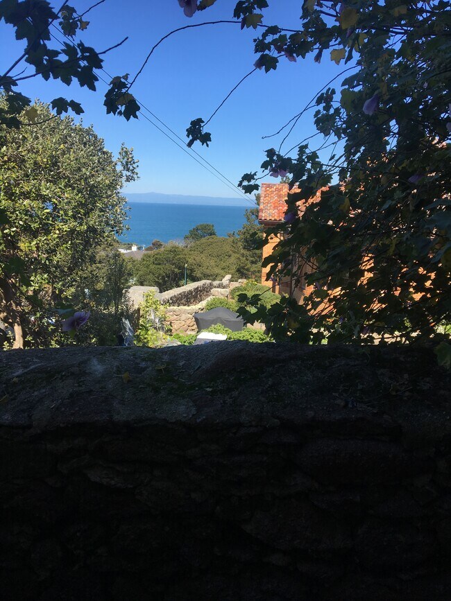 Side Yard View - 211 6th St