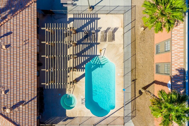 Área de piscina - SPA-Saratoga Palms