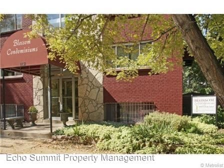 Primary Photo - 1131 Lafayette St
