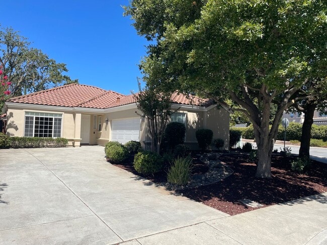 Building Photo - 1020 White Cloud Dr