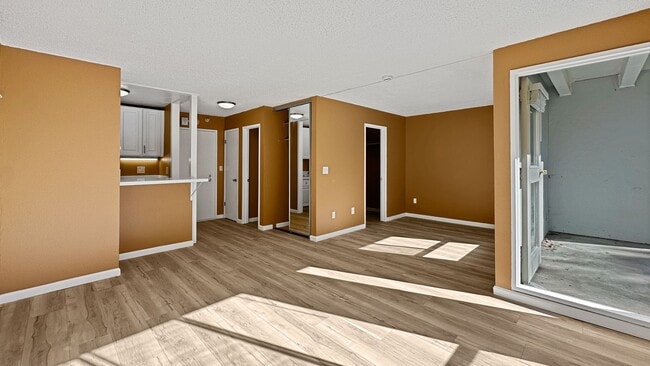 Building Photo - Brand New Studio with your Own Patio and Morning Sunlight!