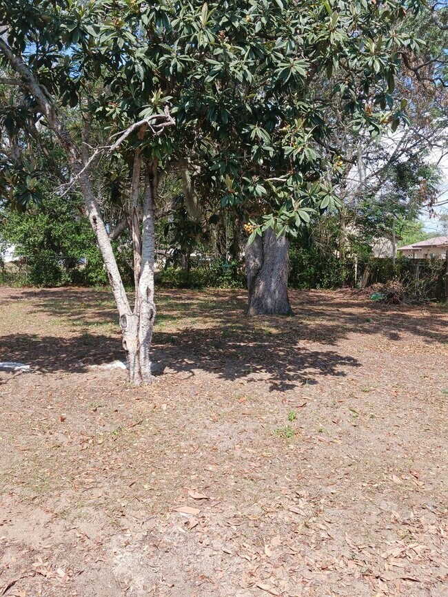 Foto del edificio - Charming 3 Bedroom, 2 Bathroom Home for Re...