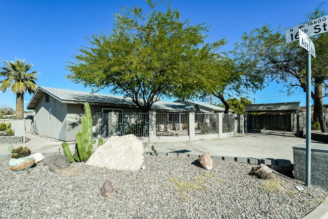 Building Photo - Swimming Pool!