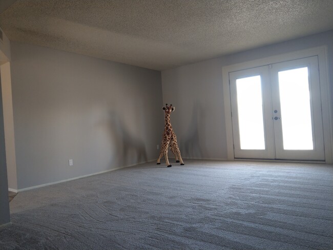 Living Room. New Carpet, Paint, Outlets and Switches. - 8344 E Camelback Rd