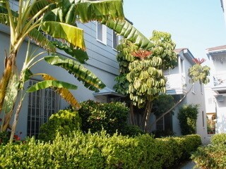 Building Photo - 442 N Spaulding Ave