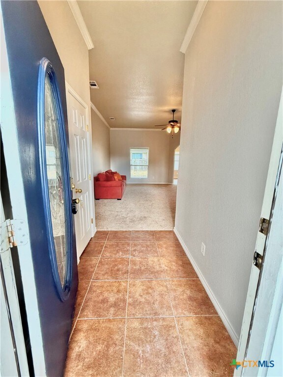 Building Photo - 2409 Vernice Dr
