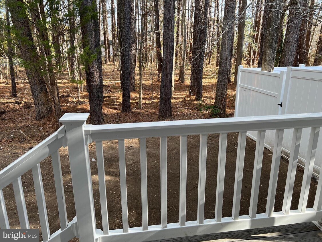 17877 St Park Rd, Tall Timbers, MD 20690 House Rental in Tall