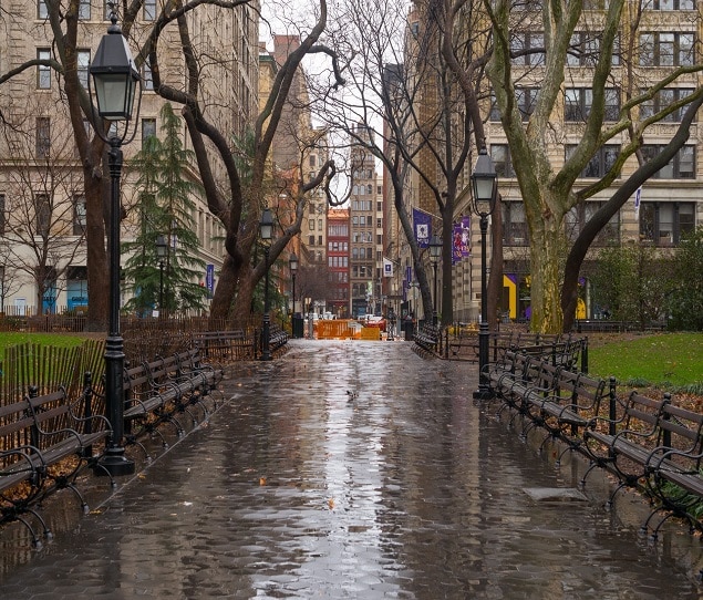 A view of NYU from the park