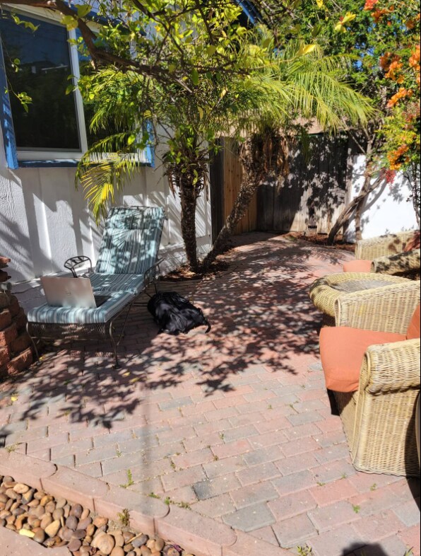 Yard 3 - 5280 Joan Ct