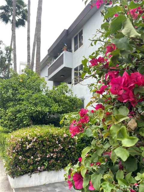 Building Photo - 1124 N La Cienega Blvd