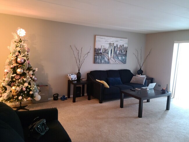 Living room - 300 S Roselle Rd