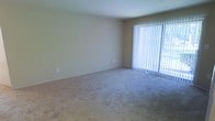 This single-story space presents a clean, straightforward layout centered around a generously sized main living area. The room features wall-to-wall carpeting in a neutral beige-gray tone, providing a soft, understated foundation that complements the light-colored walls throughout. The overall color palette is kept consistently neutral, creating a calm and versatile environment well-suited to a variety of furnishing styles.

A prominent large window fitted with vertical blinds serves as a key architectural feature, occupying a significant portion of one wall and drawing in a substantial amount of natural light. The blinds offer adjustable light control while contributing to the room's clean, simple aesthetic. The window's scale suggests the potential for outdoor views, adding to the sense of openness within the space.

The walls are smooth and free of ornamentation, finished in a warm off-white tone that enhances the brightness of the room. Electrical outlets and switch plates are neatly positioned along the walls. The ceiling is standard height with a clean white finish, maintaining the room's uncluttered character. Overall, the space offers a blank canvas that is both functional and adaptable.